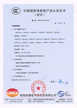 振動(dòng)源隔爆型三相異步電動(dòng)機(jī)